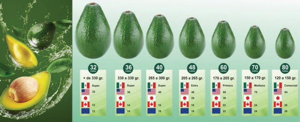 avocados